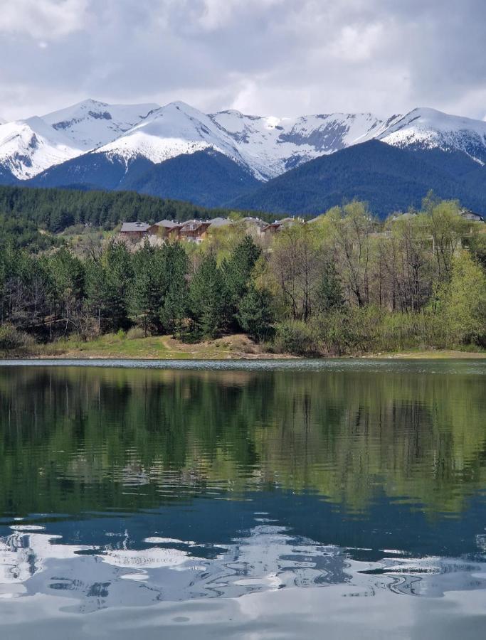 Green Life, Bansko, Private Studio C-17 Buitenkant foto